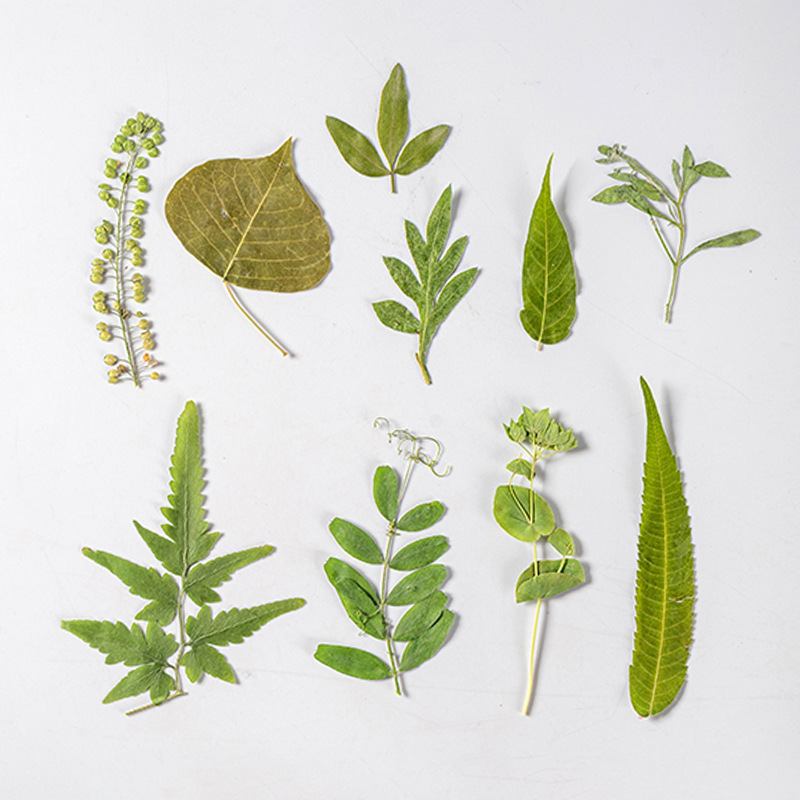 1 ชุด 35 ชิ้น Pressed ดอกไม้แห - Dried Flower Bookmark บทวิจารณ์และราคา