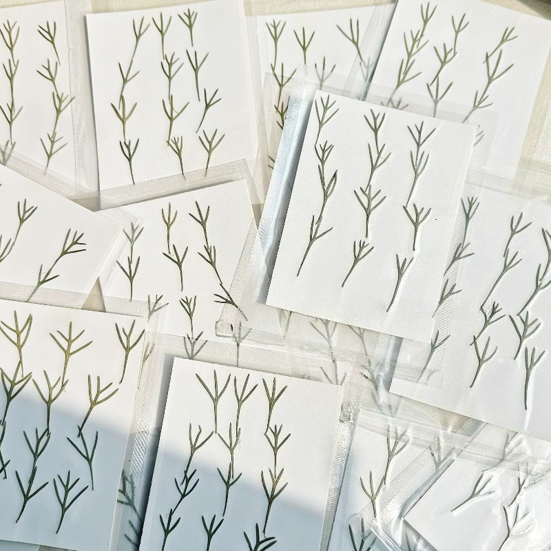 24 ชิ้น, ใบอะคิลีอาแห้งแท้สำหร - Dried Flower Bookmark บทวิจารณ์และราคา
