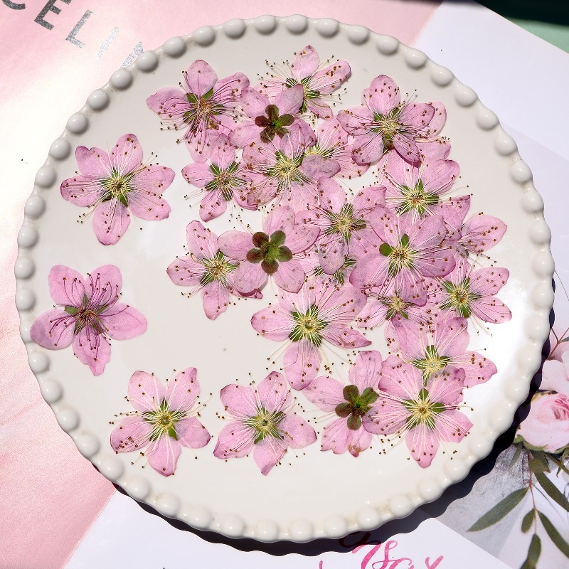 ดอกไม้แห้งกดอัดสีชมพูพีช ขนาด  - Dried Flower Bookmark บทวิจารณ์และราคา
