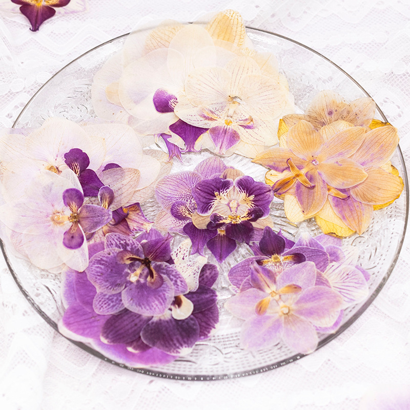 ดอกกล้วยไม้ฟาแลนนอปซิสแห้งอัด  - Dried Flower Bookmark บทวิจารณ์และราคา